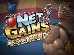 Net Gains Dream Drop thumbnail